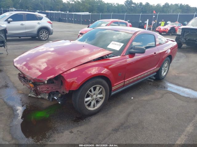 2009 FORD MUSTANG 1ZVHT80N195114641 Photo 1