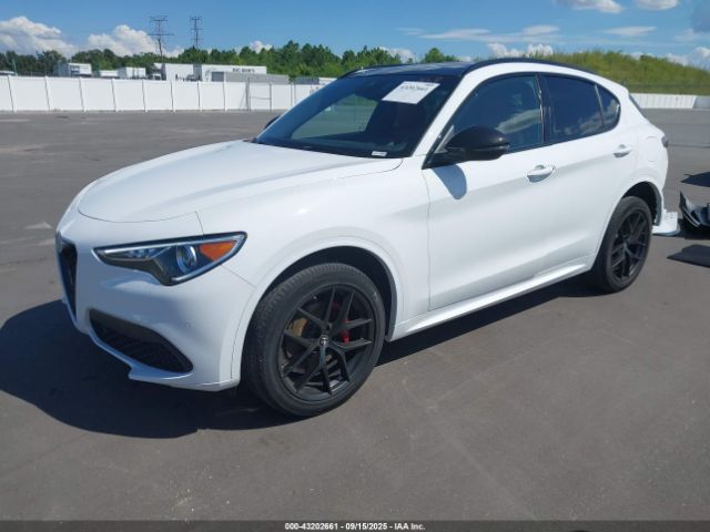 2021 ALFA ROMEO STELVIO ZASPAKBN4M7D14786 Photo 1