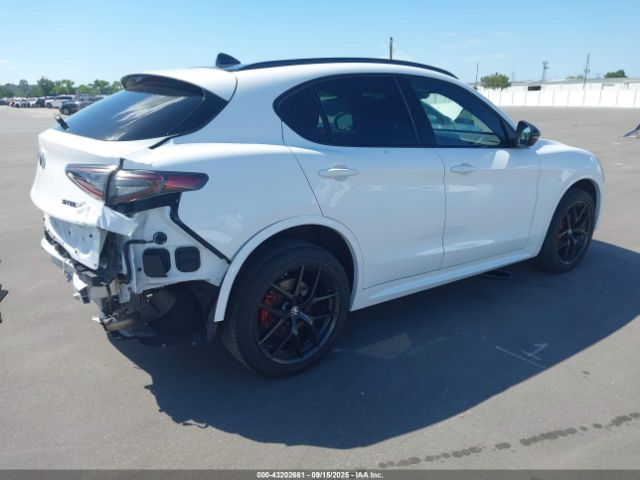 2021 ALFA ROMEO STELVIO ZASPAKBN4M7D14786 Photo 3