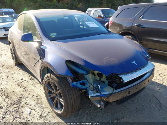 2024 TESLA MODEL Y 7SAYGDED6RF133719 Photo 0