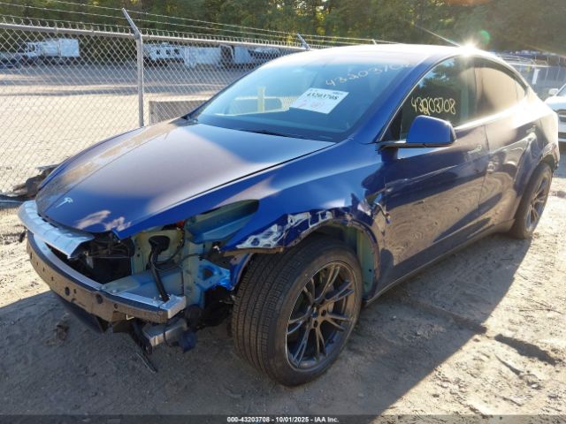 2024 TESLA MODEL Y 7SAYGDED6RF133719 Photo 1