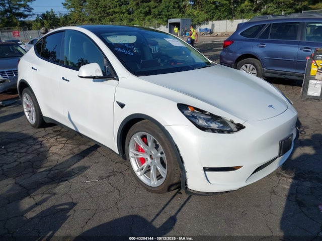 2023 TESLA MODEL Y 7SAYGDEE6PF685906 Photo 0