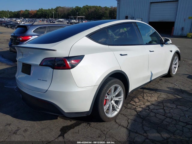 2023 TESLA MODEL Y 7SAYGDEE6PF685906 Photo 3
