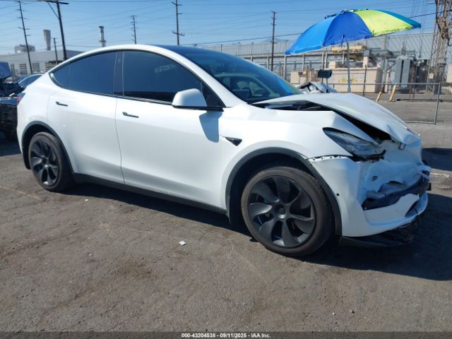 2021 TESLA MODEL Y 5YJYGDEE5MF214824