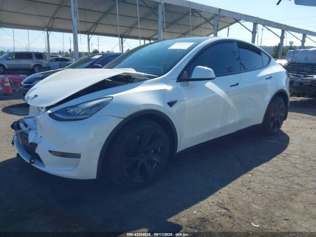 2021 TESLA MODEL Y 5YJYGDEE5MF214824 Photo 1
