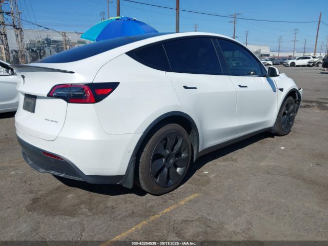 2021 TESLA MODEL Y 5YJYGDEE5MF214824 Photo 3