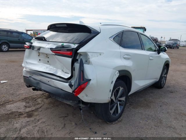 2019 LEXUS NX 300 JTJYARBZ6K2126299 Photo 3