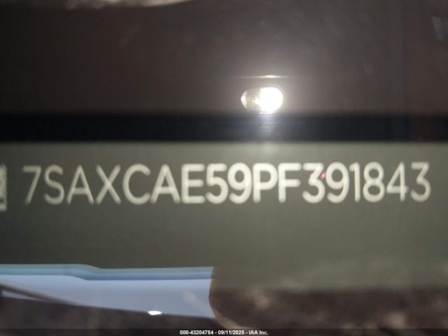 2023 TESLA MODEL X 7SAXCAE59PF391843 Photo 8