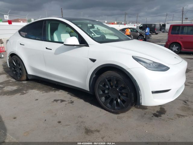 2021 TESLA MODEL Y 5YJYGDEE1MF151849 Photo 0
