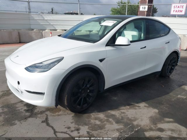 2021 TESLA MODEL Y 5YJYGDEE1MF151849 Photo 1