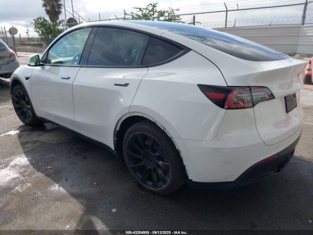 2021 TESLA MODEL Y 5YJYGDEE1MF151849 Photo 2