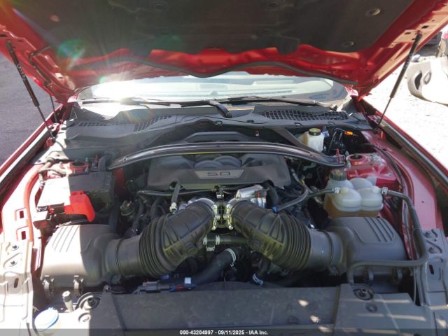 2024 FORD MUSTANG 1FA6P8CFXR5433030 Photo 9