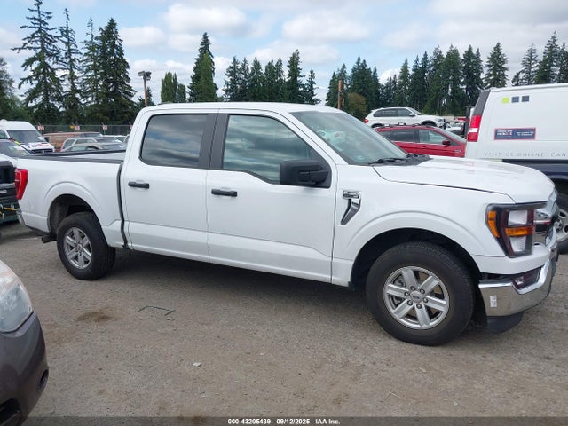 Ford 5.0l-4v 2023 1FTEW1C59PKD23818 Image 13