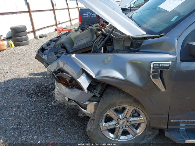 Ford 2024 2024 1FTFW3LD0RFA25435 Image 6