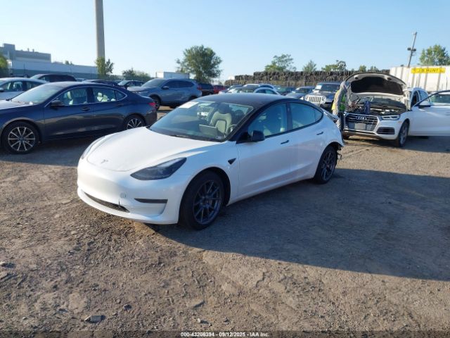 2023 TESLA MODEL 3 5YJ3E1EAXPF511717 Photo 1