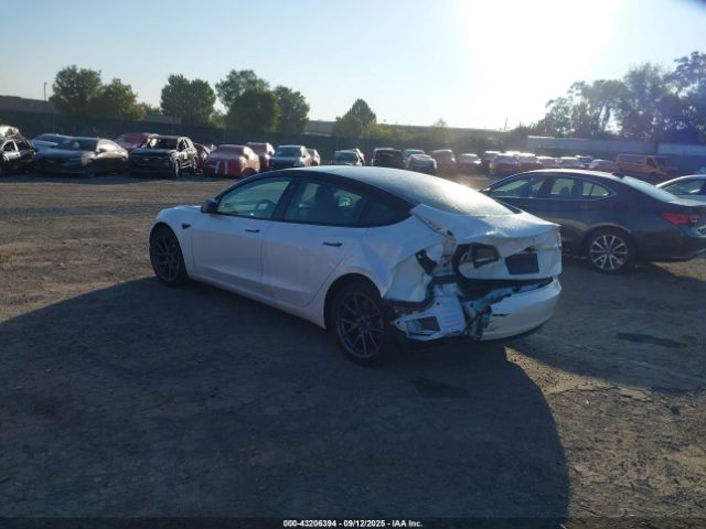 2023 TESLA MODEL 3 5YJ3E1EAXPF511717 Photo 2