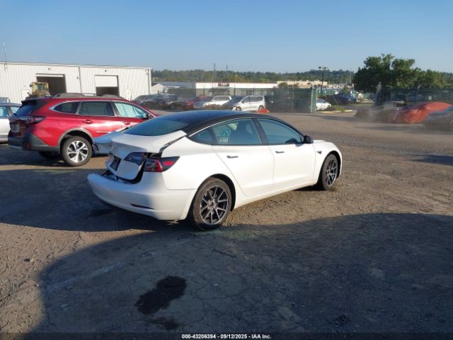 2023 TESLA MODEL 3 5YJ3E1EAXPF511717 Photo 3