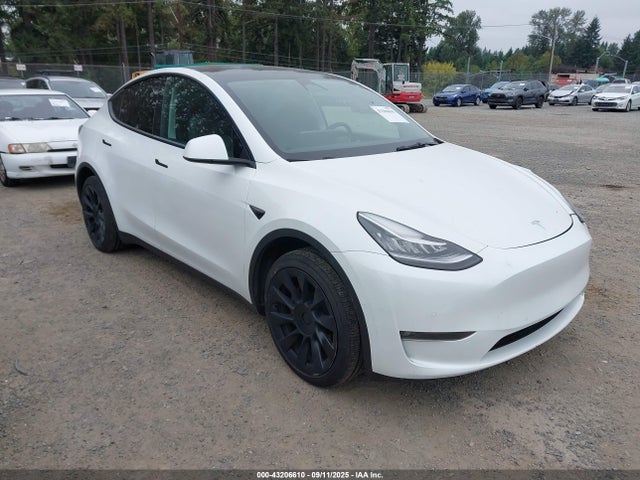 2021 TESLA MODEL Y 5YJYGDEE8MF241287 Photo 0