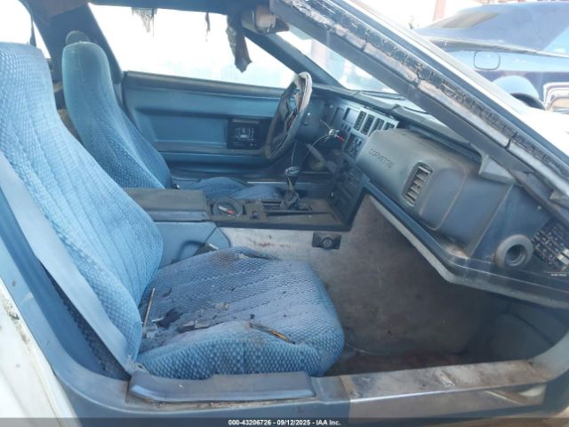 1985 CHEVROLET CORVETTE 1G1YY0784F5105796 Photo 7