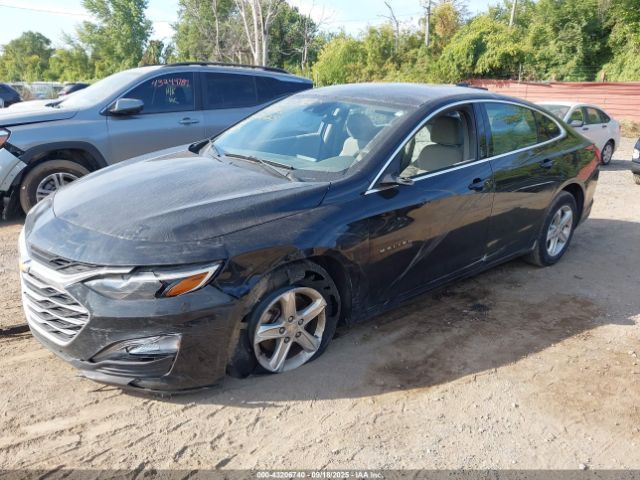 2023 CHEVROLET MALIBU 1G1ZB5STXPF115257 Photo 1