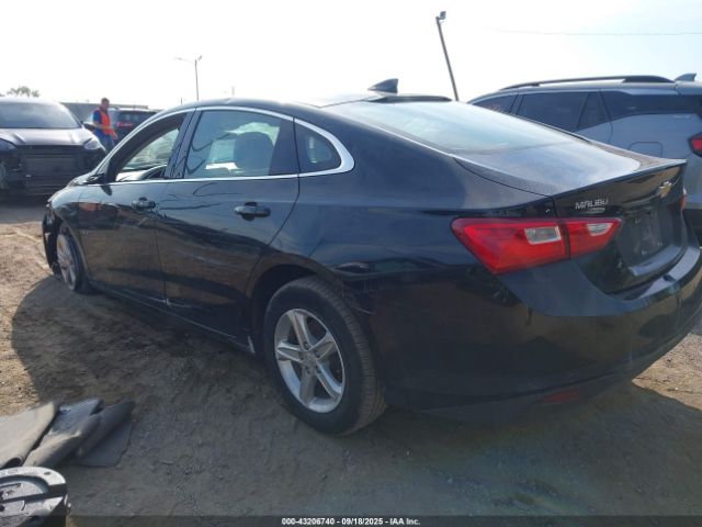 2023 CHEVROLET MALIBU 1G1ZB5STXPF115257 Photo 2