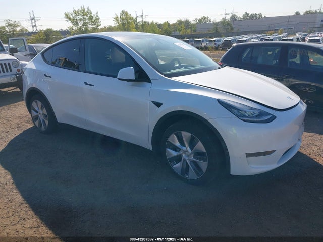 2023 TESLA MODEL Y 7SAYGDEE8PA105892 Photo 0