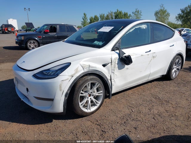 2023 TESLA MODEL Y 7SAYGDEE8PA105892 Photo 1