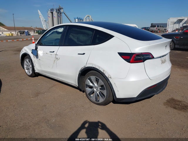 2023 TESLA MODEL Y 7SAYGDEE8PA105892 Photo 2
