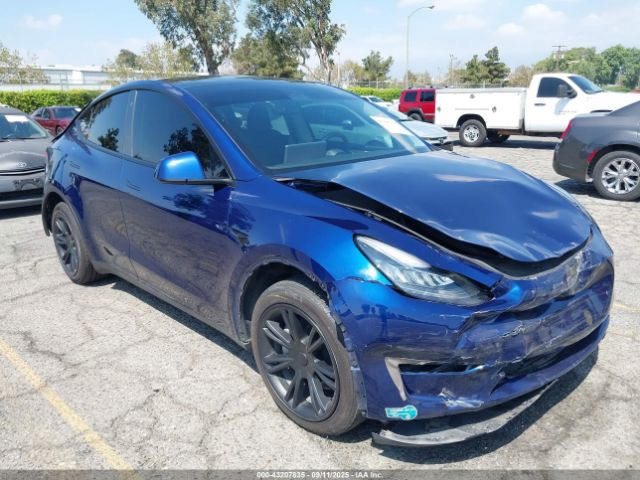 2023 TESLA MODEL Y 7SAYGDEE5PA074004 Photo 0