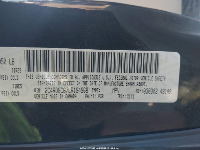 Dodge 2020 2020 2C4RDGCG7LR194968 Image 9