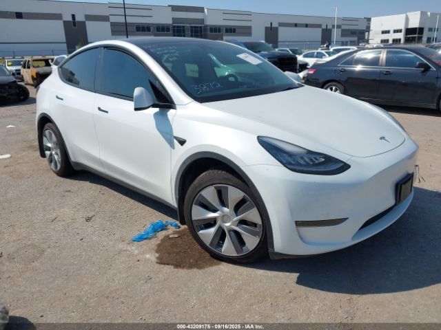2023 TESLA MODEL Y 7SAYGDEE6PA093872 Photo 0
