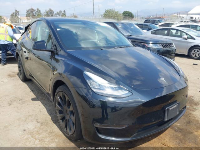 2021 TESLA MODEL Y 5YJYGDEE2MF282871 Photo 0