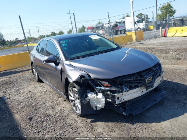 2019 TOYOTA CAMRY 4T1B11HK5KU750793