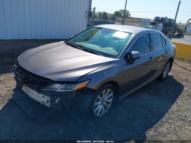 2019 TOYOTA CAMRY 4T1B11HK5KU750793 Photo 1