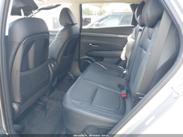 2024 HYUNDAI TUCSON HYBRID KM8JECD12RU218596 Photo 7