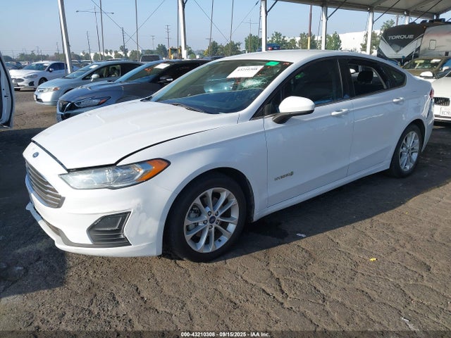Ford Fusion Hybrid Se 2019 3FA6P0LU7KR220751 Image 2