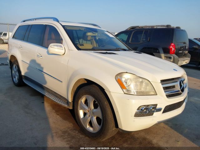 2010 MERCEDES-BENZ GL 450 4JGBF7BE1AA540473