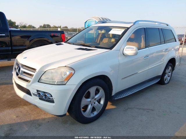 2010 MERCEDES-BENZ GL 450 4JGBF7BE1AA540473 Photo 1