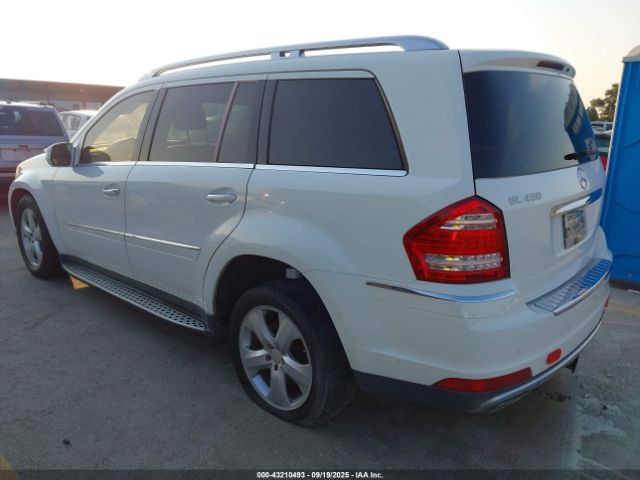 2010 MERCEDES-BENZ GL 450 4JGBF7BE1AA540473 Photo 2