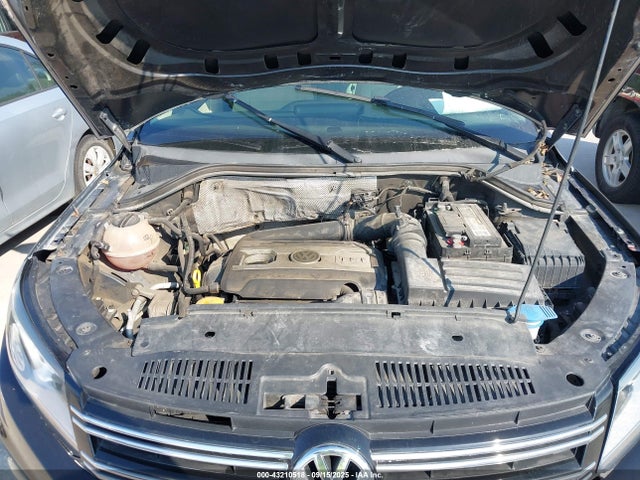 WVGBV3AX9EW557576 Volkswagen Tiguan