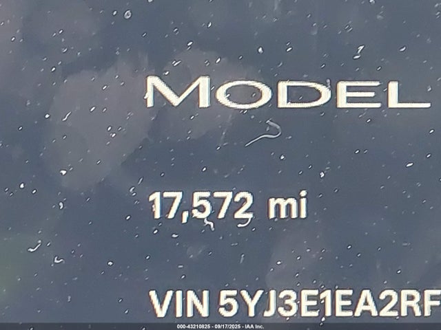 Tesla 2024 2024 5YJ3E1EA2RF747815 Image 15