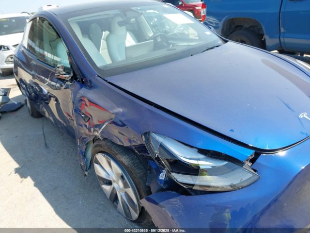 2024 TESLA MODEL Y 7SAYGDEE9RA215613 Photo 5