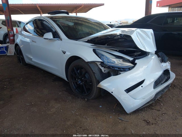 2019 TESLA MODEL 3 5YJ3E1EB3KF199581 Photo 0