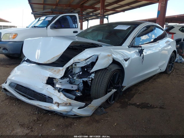 2019 TESLA MODEL 3 5YJ3E1EB3KF199581 Photo 1