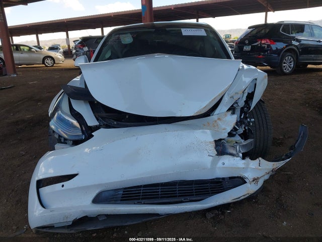 2019 TESLA MODEL 3 5YJ3E1EB3KF199581 Photo 5