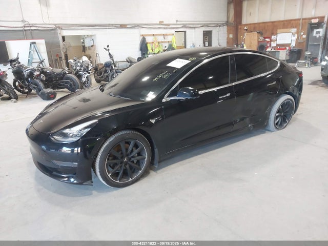 Tesla 2019 2019 5YJ3E1EB3KF210496 Image 2