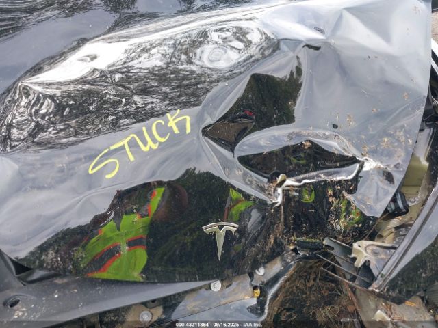 2024 TESLA MODEL 3 5YJ3E1EA3RF746589 Photo 9