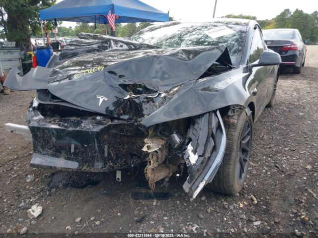 2024 TESLA MODEL 3 5YJ3E1EA3RF746589 Photo 5