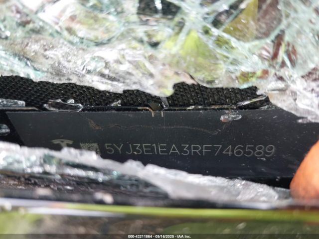 2024 TESLA MODEL 3 5YJ3E1EA3RF746589 Photo 8