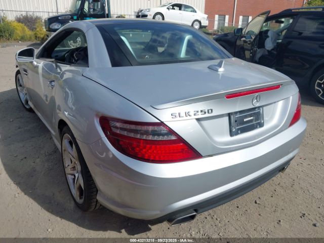 2014 MERCEDES-BENZ SLK 250 WDDPK4HA8EF084317 Photo 2
